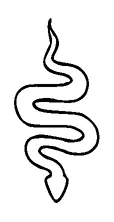 Simple Snake Tattoo Meaning, PNG and SVG