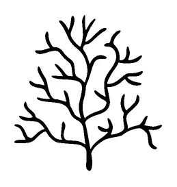 Simple Tree Branches Tattoo Meaning, PNG and SVG