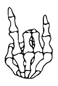 Skeleton Hand Rock On Tattoo Meaning, PNG and SVG