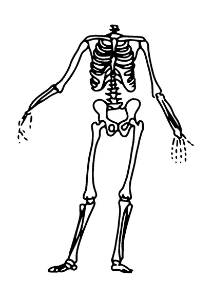 Skeleton Without Head Tattoo Meaning, PNG and SVG