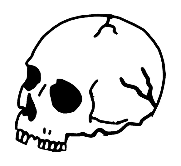 Skull Tattoo Meaning, PNG and SVG