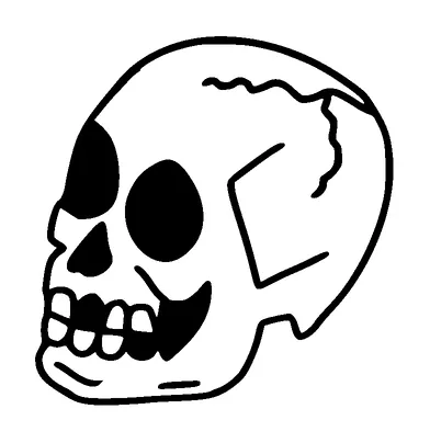 Skull Tattoo Meaning, PNG and SVG