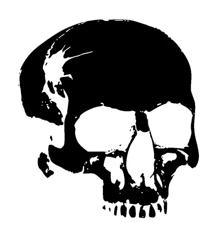 Skull Black Threshold Tattoo Meaning, PNG and SVG