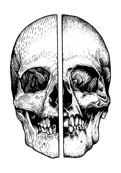 Skull Detailed Drawing Tattoo Meaning, PNG and SVG