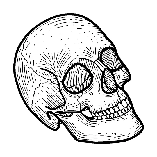 Skull Drawing Tattoo Meaning, PNG and SVG