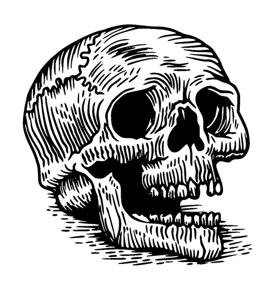 Skull Drawing Tattoo Meaning, PNG and SVG