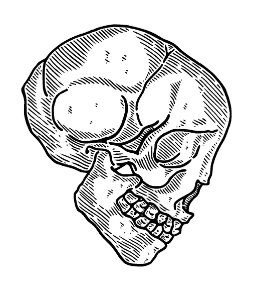 Skull Linework Tattoo Meaning, PNG and SVG