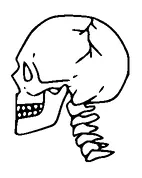 Skull Small Tattoo Meaning, PNG and SVG