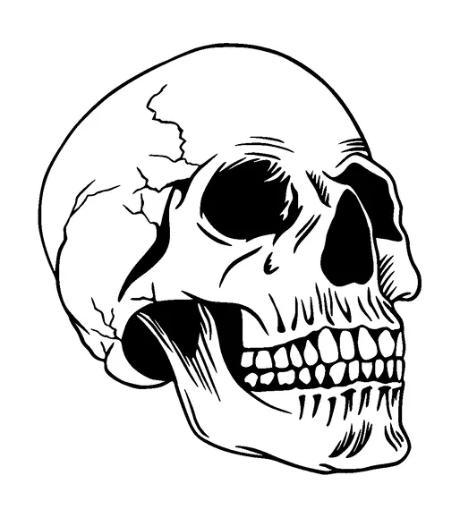 Skull With Cracks Tattoo Meaning, PNG and SVG