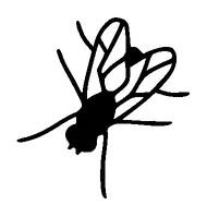 Small Fly Tattoo Meaning, PNG and SVG