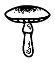 Small Mushroom Tattoo Meaning, PNG and SVG