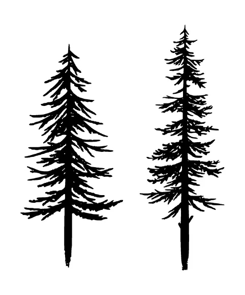 Small Pine Tree Tattoo Meaning, PNG and SVG