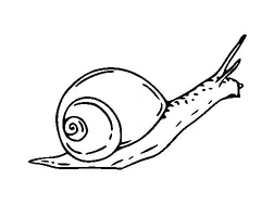 Snail Tattoo Meaning, PNG and SVG