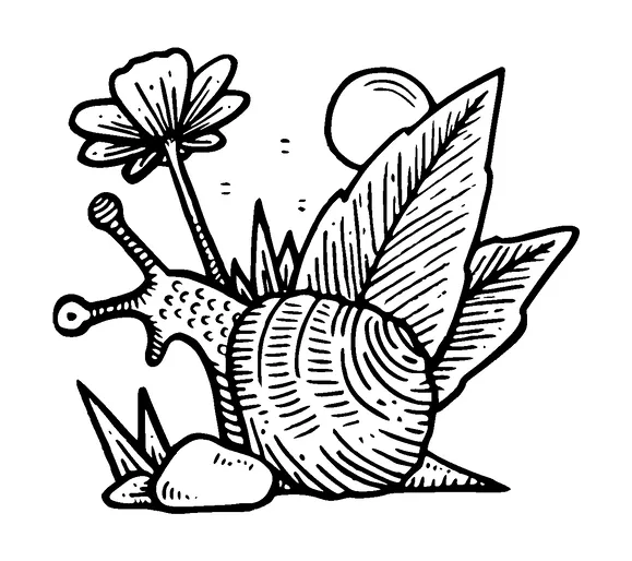 Snail On Plant Tattoo Meaning, PNG and SVG