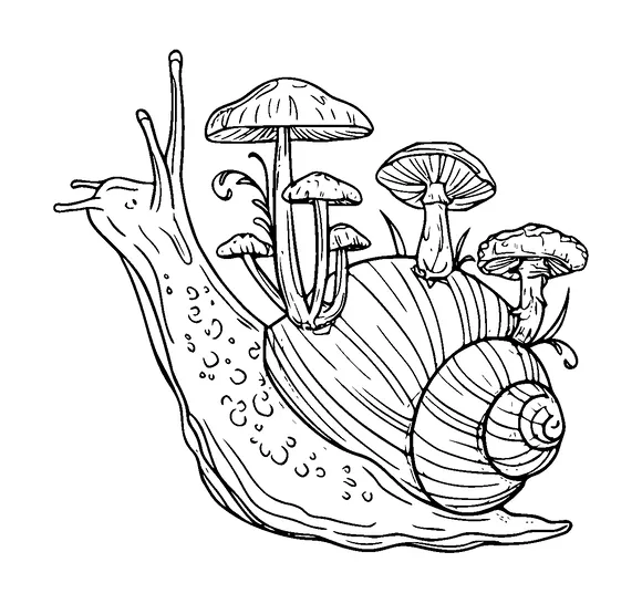 Snail With Mushrooms Growing On It Tattoo Meaning, PNG and SVG