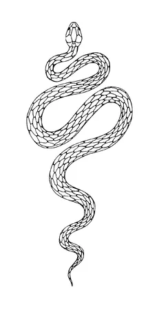 Snake Tattoo Meaning, PNG and SVG