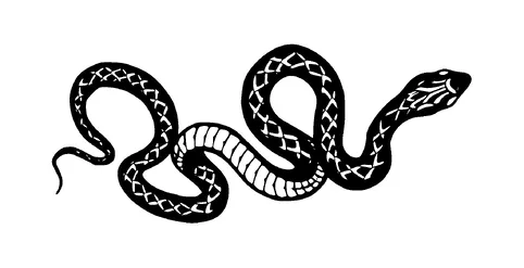 Snake Tattoo Meaning, PNG and SVG