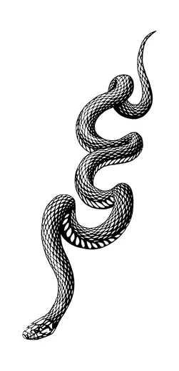 Snake Tattoo Meaning, PNG and SVG