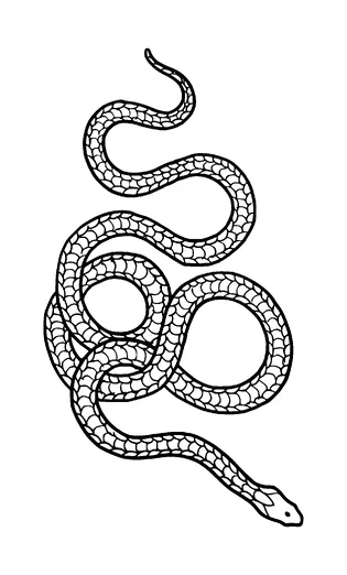 Snake Tattoo Meaning, PNG and SVG