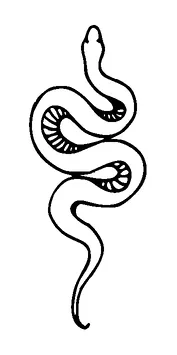 Snake Tattoo Meaning, PNG and SVG