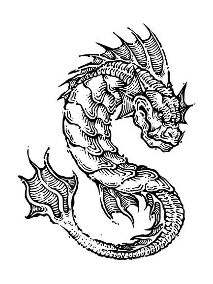 Snake Like Dragon Tattoo Meaning, PNG and SVG