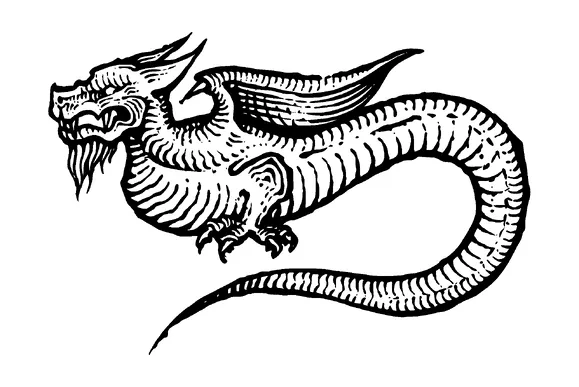 Snake Like Dragon Tattoo Meaning, PNG and SVG