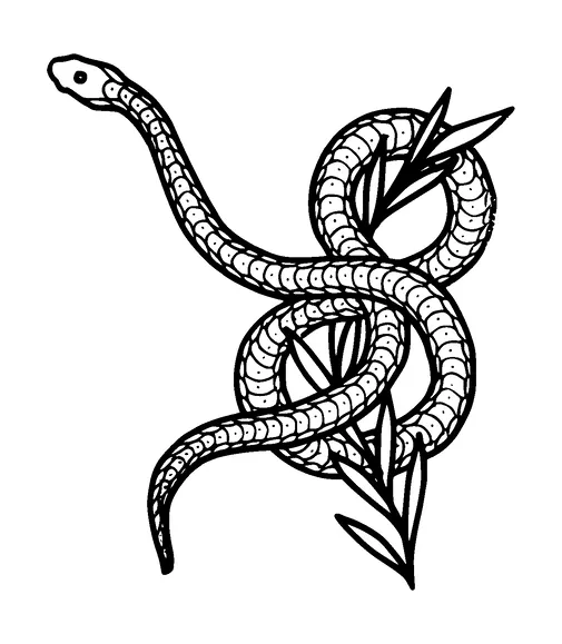 Snake On Plant Tattoo Meaning, PNG and SVG