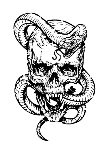 Snake On Skull Tattoo Meaning, PNG and SVG