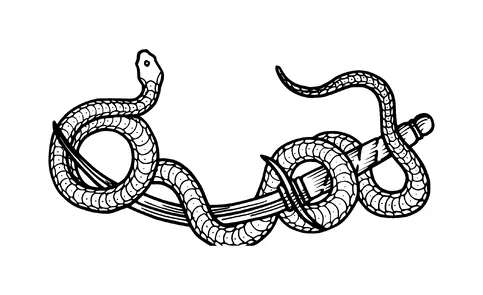 Snake On Sword Tattoo Meaning, PNG and SVG