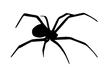 Spider Silhouette Tattoo Meaning, PNG and SVG