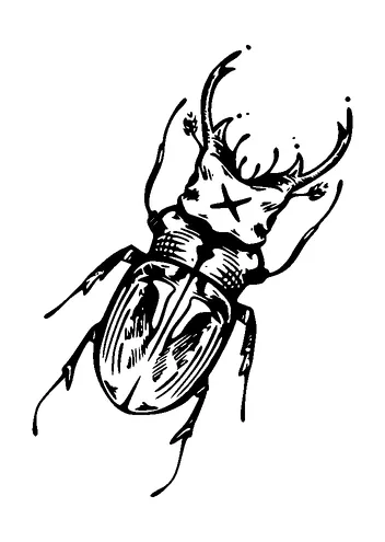 Stag Beetle Tattoo Meaning, PNG and SVG