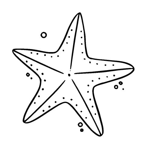 Star Fish Tattoo Meaning, PNG and SVG