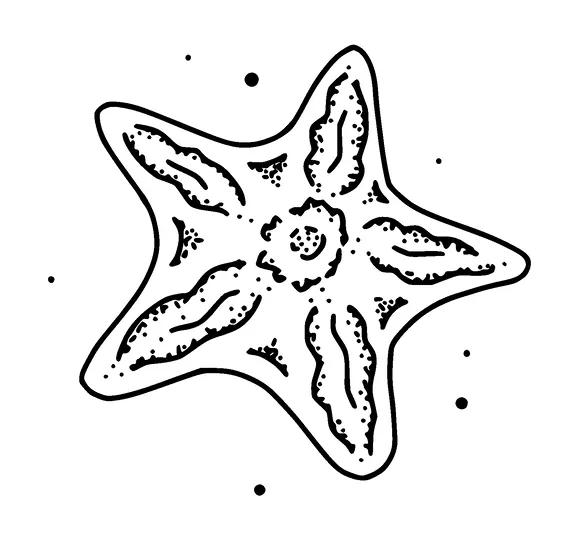 Starfish Tattoo Meaning, PNG and SVG