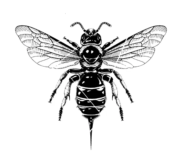 Sting Bee Tattoo Meaning, PNG and SVG