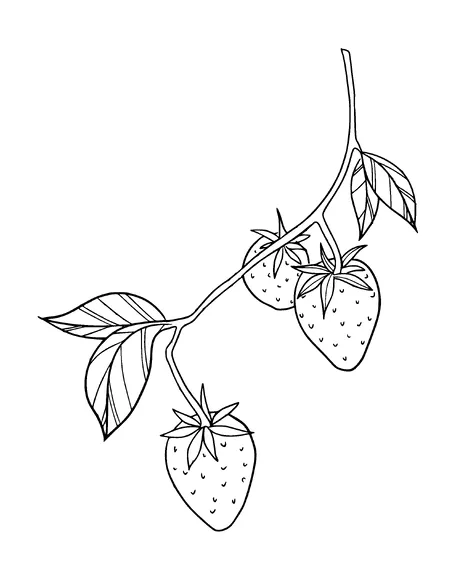 Strawberries Tattoo Meaning, PNG and SVG