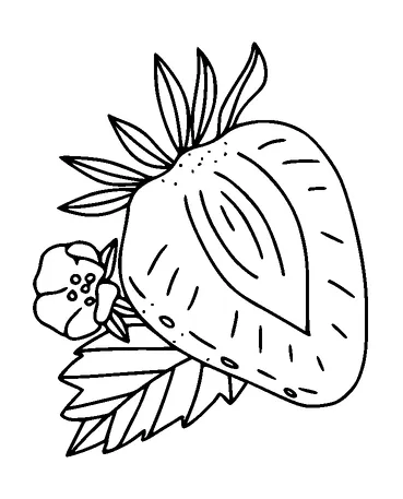 Strawberry Cut In Half Tattoo Meaning, PNG and SVG