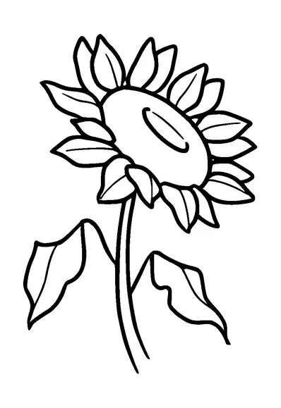 Sunflower Tattoo Meaning, PNG and SVG