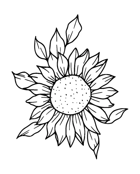 Sunflower Tattoo Meaning, PNG and SVG