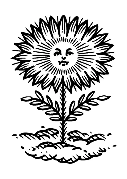 Sunflower With Head Tattoo Meaning, PNG and SVG