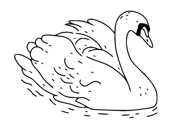 Swan Swimming Tattoo Meaning, PNG and SVG