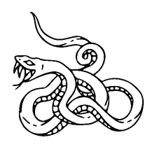 Tangled Snake Tattoo Meaning, PNG and SVG