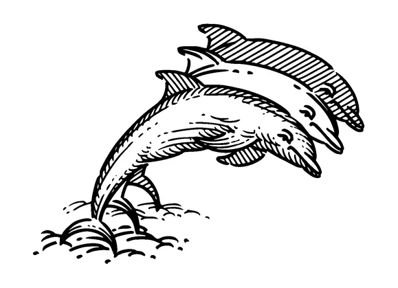 Three Dolphins Tattoo Meaning, PNG and SVG