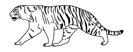 Tiger Tattoo Meaning, PNG and SVG