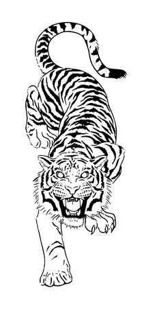 Tiger Attacking Tattoo Meaning, PNG and SVG