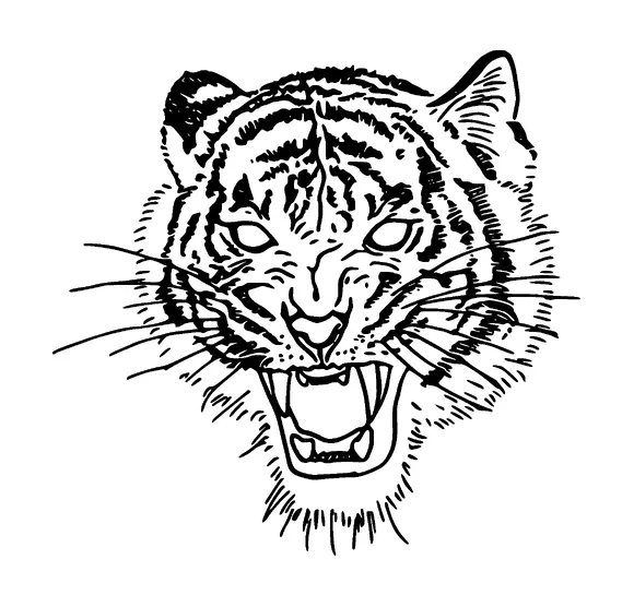 Tiger Head Tattoo Meaning, PNG and SVG