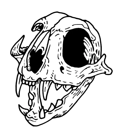 Tiger Skull Tattoo Meaning, PNG and SVG