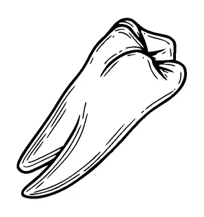 Tooth Tattoo Meaning, PNG and SVG