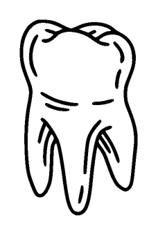 Tooth Tattoo Meaning, PNG and SVG