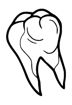 Tooth Tattoo Meaning, PNG and SVG