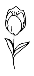 Tulip Tattoo Meaning, PNG and SVG